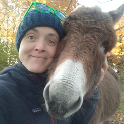 all sorts. used to do really big solo adventures across oceans and the world . author. speaker. now mostly journeying in mental health with my donkeys.