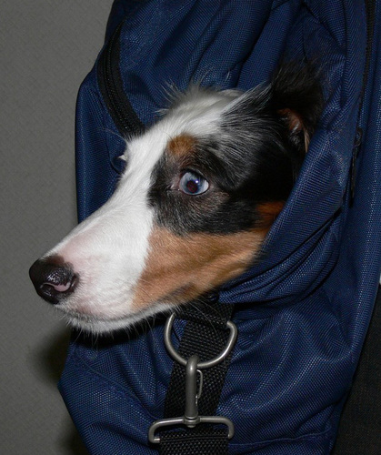 hydrogen30's profile picture. 東京の真ん中あたりに位置する会社に勤めるサラリーマンです。基本的に夜型。