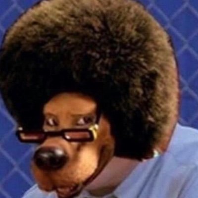 JakeDinger8's profile picture. 