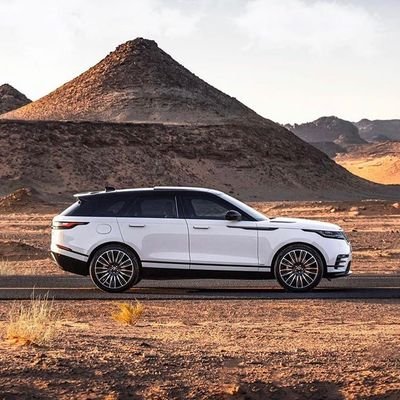 ETheeconomy's profile picture. stay home stay safe! Overpopulation is culprit to every problems Human into #pollution #poverty. Go vegan. stop killing animals #coronacause.