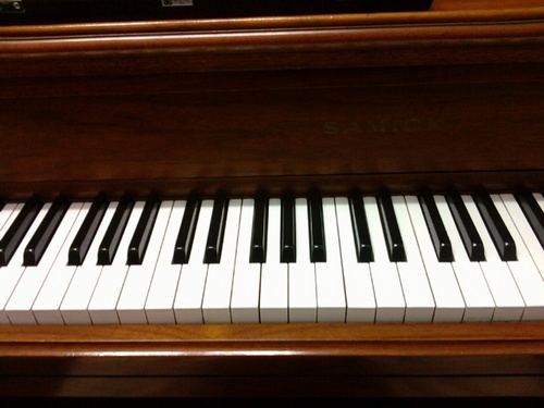 1stFlutest's profile picture. 