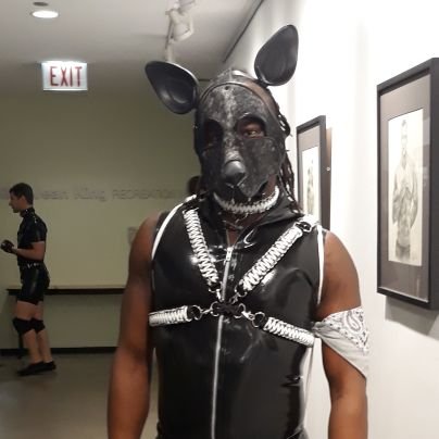 Dom/Alpha Pup expanding his kink side 🛑18+ ONLY #pup #gay #rope #bondage