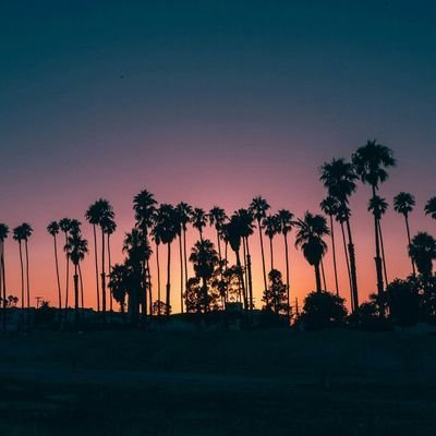 باحث عن الحب و الأمل و السكون و السلام