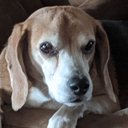 Samuel Conklin - @SamuelConklin2 - Twitter