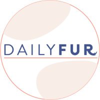 DAILYFUR(@DailyFUR) 's Twitter Profile Photo