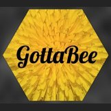Search the GottaBee Directory of Beekeepers to find beekeepers near you offering local raw honey, hive products and beekeeping services.  #gottabeelocalhoney