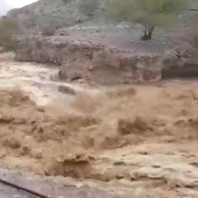 LHdl8NWL8wfFios's profile picture. ‏ابوأحمد