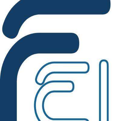 FEI Profile