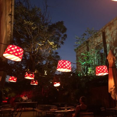 SchnellerLisa's profile picture. 