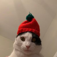 sprinklezz (@sprinklezz3) 's Twitter Profile