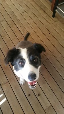 bigguyau's profile picture. 