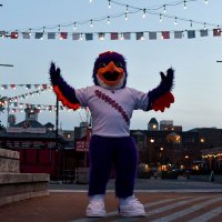 Bolt ⚡️ (@hfxmascot) 's Twitter Profile