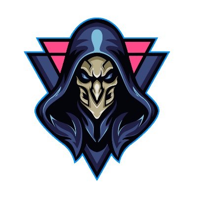 EnAssassin's profile picture. I’m a twitch streamer looking to meet friends all across the globe 🌎. I love to support other streamers , and I’m a proud owner of Savage Nation , genuine only