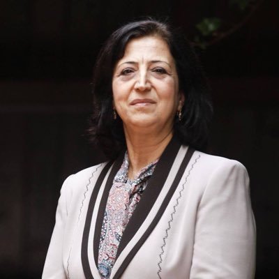 Syrian Democratic Council Representative to the United States