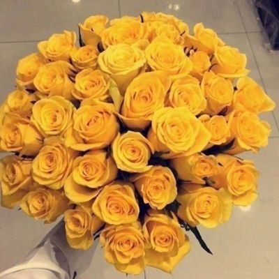 2Q74TB10SdvmTD6's profile picture. بلوشيه