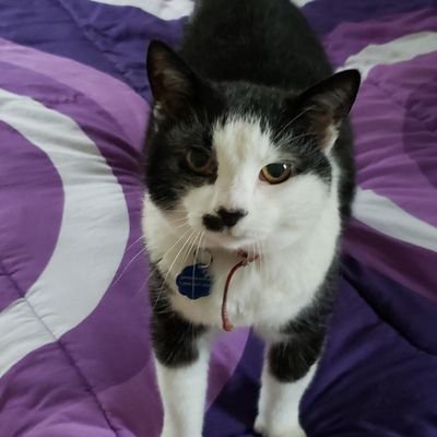 Kenzia91's profile picture. 