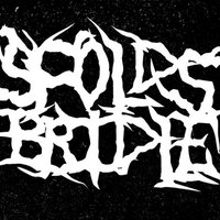 Scolds Bridle (@scoldsbridle) 's Twitter Profile