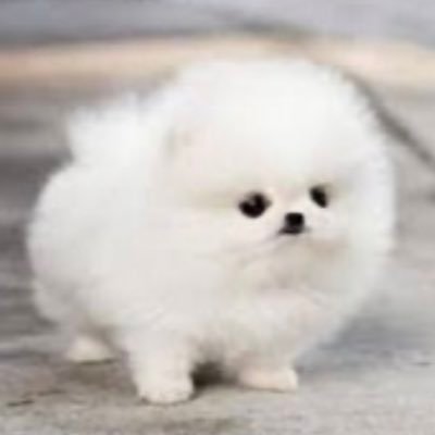 yu_00715's profile picture. 取得済→簿記2級/FP3級/年アド3級/給与検定2級 第二種衛生管理者 取得済 温泉と水泳が好き #シャロスタ #合格者コース　#イタチャチャハウス