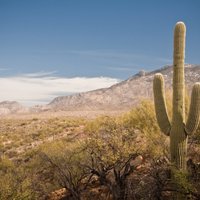 Mesa.com (@mesaplanet) 's Twitter Profile