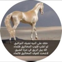 سهم(@b_alkuwit) 's Twitter Profile Photo