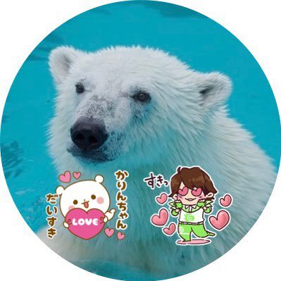 とったんさんのプロフィール画像