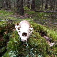 Peter (@peter30011684) 's Twitter Profile