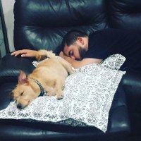 Frank Lara (@franklin_valo) 's Twitter Profile