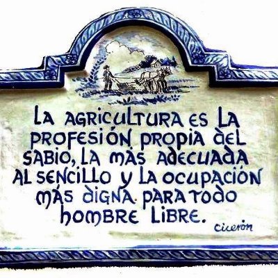 Sine_Agri_Nihil's profile picture. Agronomy enthusiast