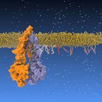 Biocomputing group (@biocomputingcms) 's Twitter Profile