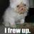 joe_squadrito's profile image