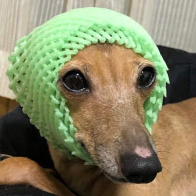 4c0zjOJ3mW3b8gi's profile picture. 頑張るぞ‼️💪