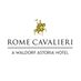 Rome Cavalieri (@RomeCavalieri) Twitter profile photo