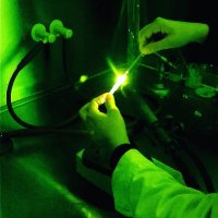 QuanTELCO (@telcoquan) 's Twitter Profile