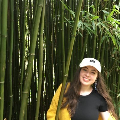 @UniOfYork History and Politics BA graduate | Medieval Studies MA graduate | History and Heritage Research Volunteer 🌸