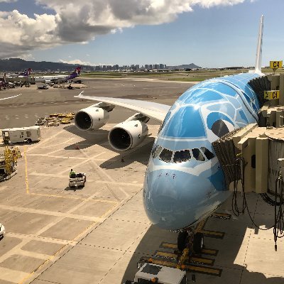 HONUKai5's profile picture. #UKB #ITM #KIX が拠点。2019 SFC取得。2020 2021 2022 DIA。2023 PLT。 #PENTAX K-3 Mark III K-3 ユーザー 無言フォローごめんなさい🙇 無言フォロー歓迎です！