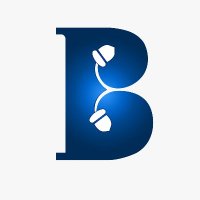 Brandingnuts (@brandingnuts) Twitter profile photo
