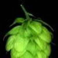ryan (@sharpskibeer) 's Twitter Profile