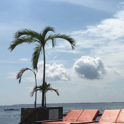 d_magnumtt's profile picture. 