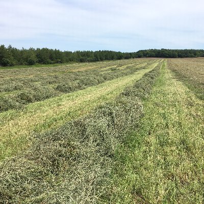 Ag Engineer, Cash Crop Farmer, Hay Producer, Hald. Cty. Firefighter