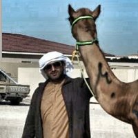 خلف ساري المزروعي Bu-salama (@9hjlveatztsnwfi) 's Twitter Profile