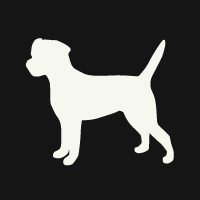 Phosphor Essence Profile