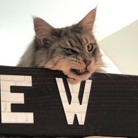 Vesper (@david_vga91) 's Twitter Profile