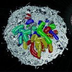 Wellcome iCM PhD Programme (@icmphd) 's Twitter Profile Photo Wellcome iCM PhD Programme (@icmphd) 's Twitter Profile Photo