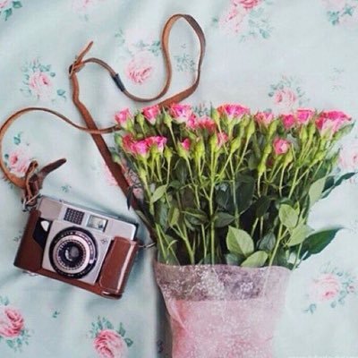 _msd12's profile picture. 