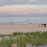 Maeve Meehan (@maevemeehan) 's Twitter Profile