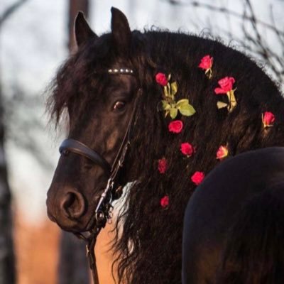 t7_xyp's profile picture. سأظل أتعلم من الحياه حتى أصل إلى مستوى يليق بي وسأظل أخطئ حتى أتقن ماأريد أن أتعلمه؛؛• 👩🏻‍💻