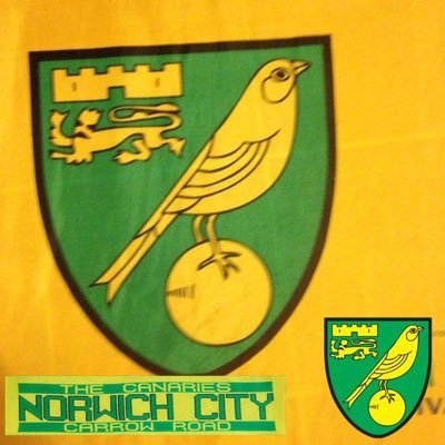 Norwich city supporting beer drinking curry loving king who also like an occasional bet 😜