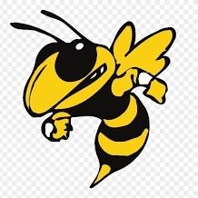 Official Twitter Account for Ider High School. GO HORNETS! #iderpride