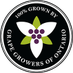 Grape Growers of Ontario (@grapegrowersont) Twitter profile photo