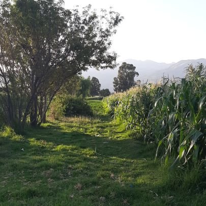 Paceño de nacimiento, Mercadólogo de profesión y granjero amateur.